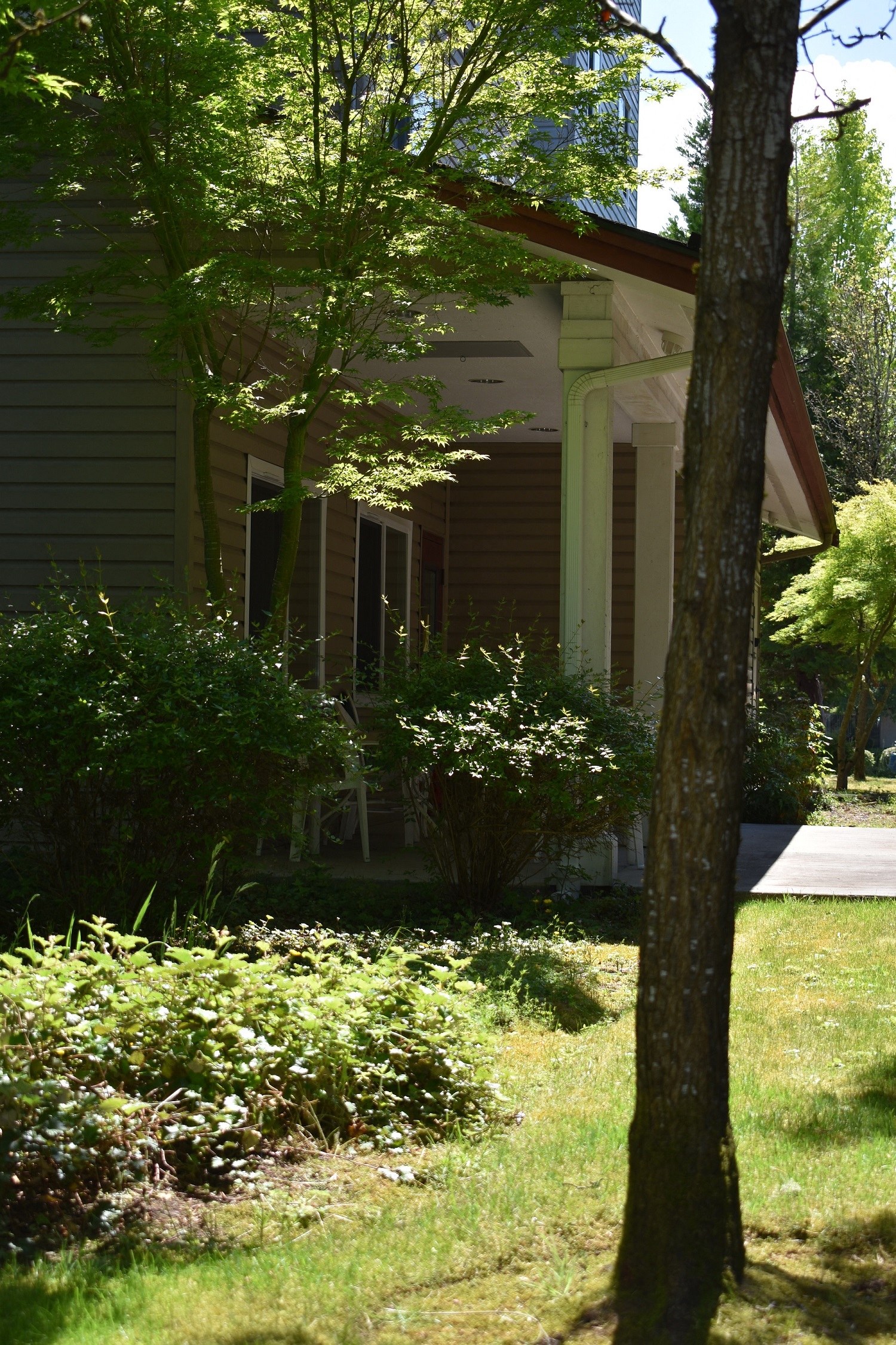 Pepperwood back patio